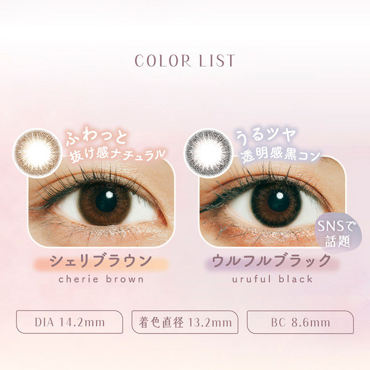毎日使いにおすすめの1箱24枚入りが登場！