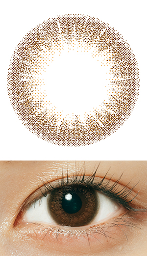 シェリブラウン