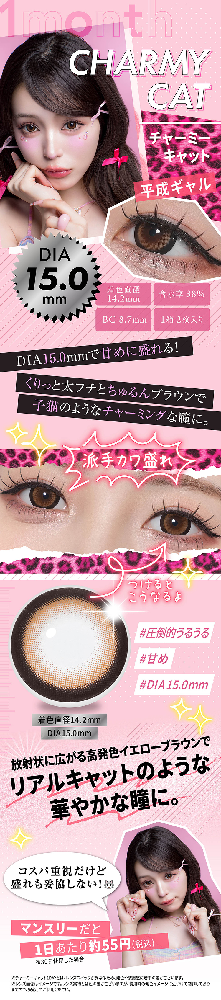 リセイマンスリー「チャーミーキャット」