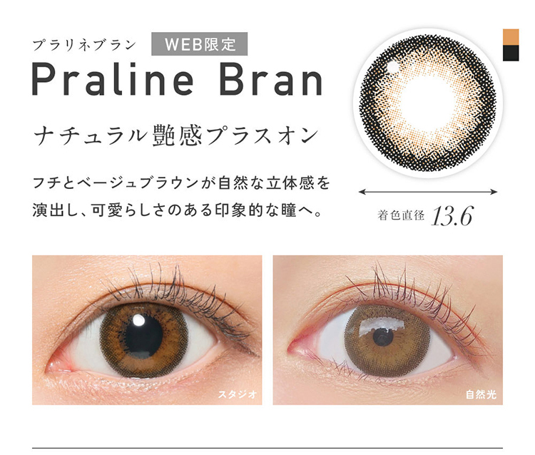 レヴィアワンデー カラーシリーズ「プラリネブラン」