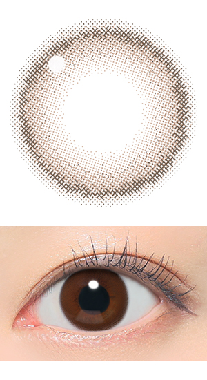 シャイブラウン