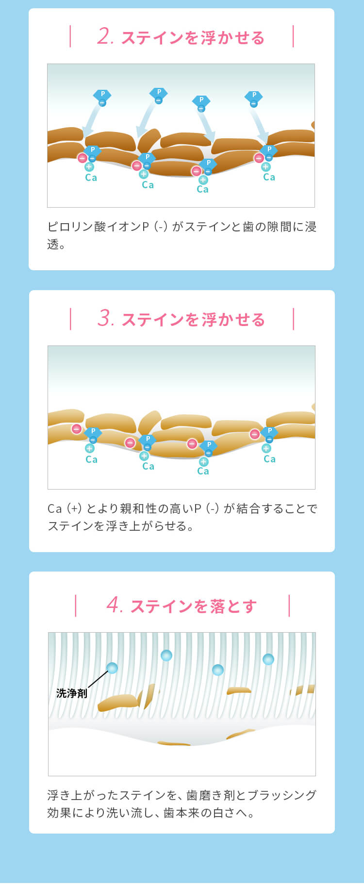 ユーキウイ歯磨き粉のきれいへのステップ