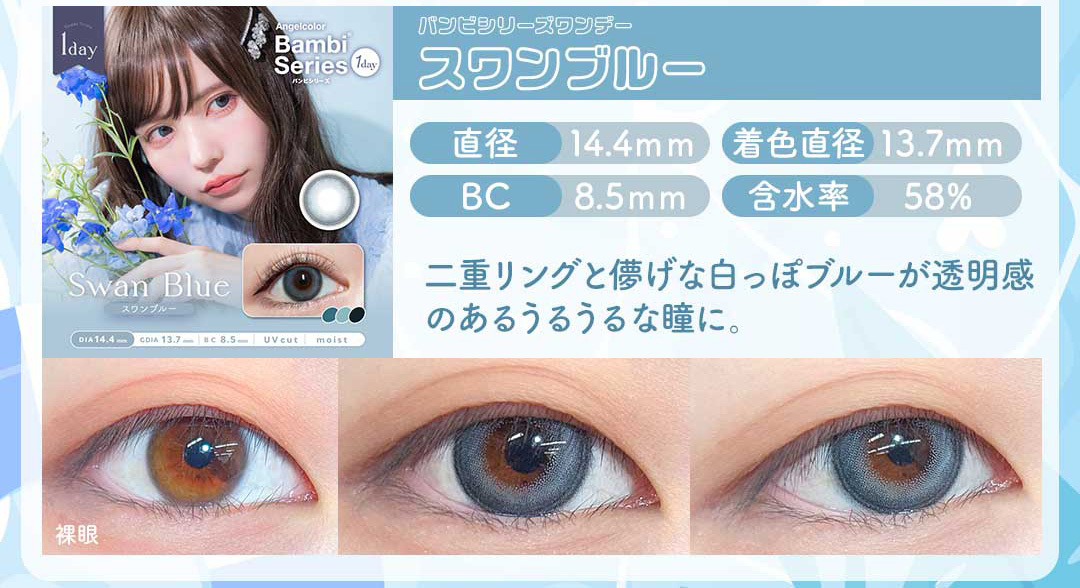 エンジェルカラーバンビシリーズワンデー「スワンブルー」