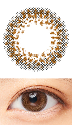 ダイヤブルームチョコレートコスモス