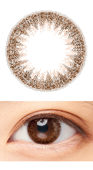 シェリールデイリーブラウン